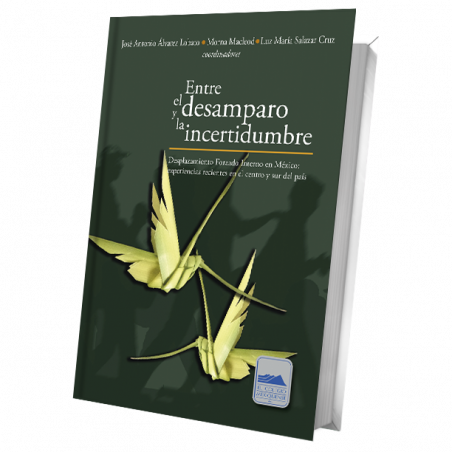 Entre el desamparo y la incertidumbre. Desplazamiento Forzado Interno en México