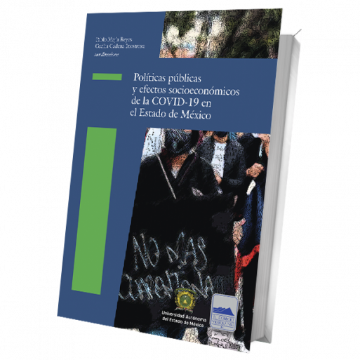 Políticas públicas y efectos socioeconómicos de la COVID-19 en el Estado de México Políticas públicas y efectos socioeconómicos de la COVID-19 en el Estado de México