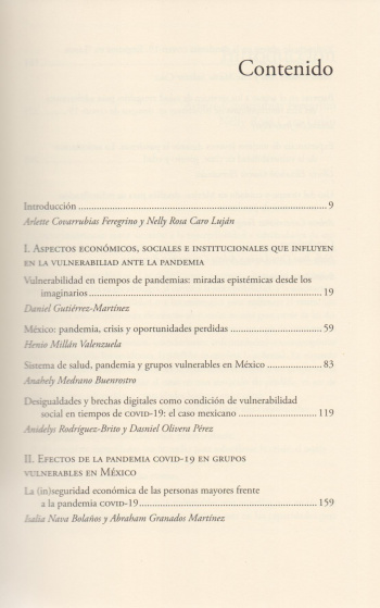 Vulnerabilidad social y económica. México ante la pandemia COVID-19