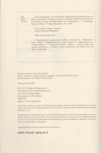 Entre el desamparo y la incertidumbre. Desplazamiento Forzado Interno en México