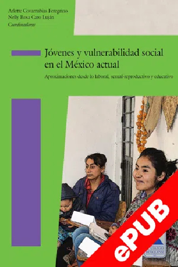 óvenes y vulnerabilidad social en el México actual. Aproximaciones