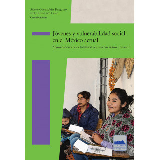 Jóvenes y vulnerabilidad social en el México actual. Aproximaciones desde lo laboral, sexual-reproductivo y educativo