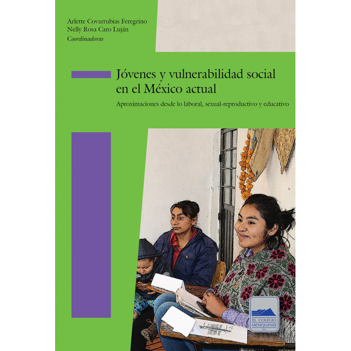 Jóvenes y vulnerabilidad social en el México actual. Aproximaciones desde lo laboral, sexual-reproductivo y educativo