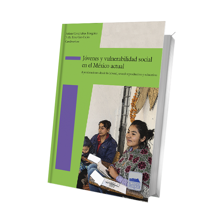 Jóvenes y vulnerabilidad social en el México actual. Aproximaciones desde lo laboral, sexual-reproductivo y educativo