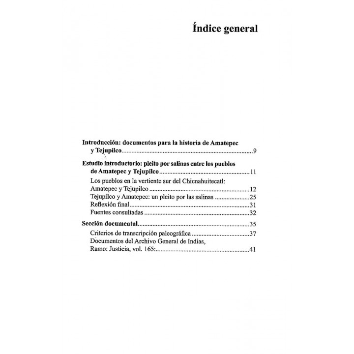 Viejas rencillas en el sur del estado de México. Pleitos por salinas entre los pueblos de Amatepec y Tejupilco.