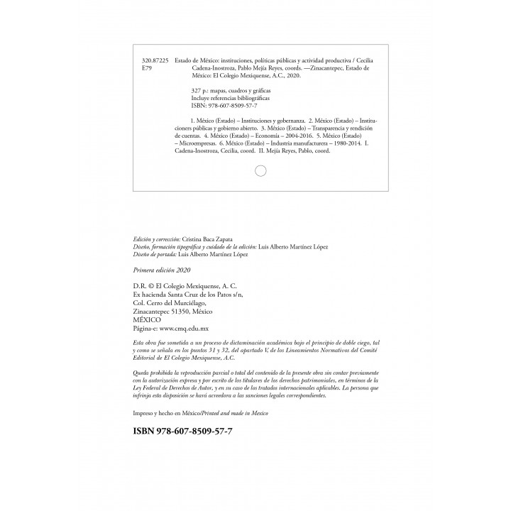 Estado de México: instituciones, políticas públicas y actividad productiva