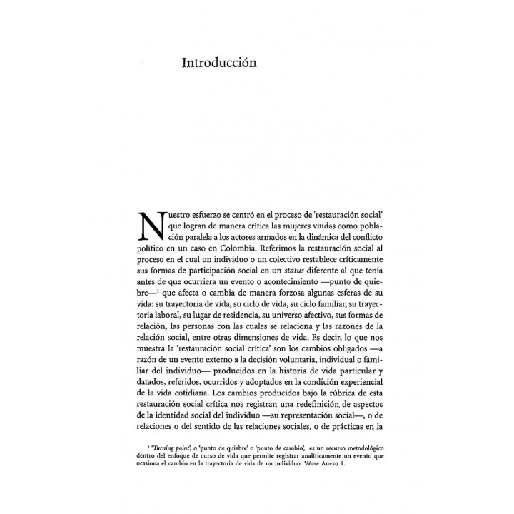 Las viudas de la violencia política. Trayectorias de vida y estrategias de sobrevivencia en Colombia