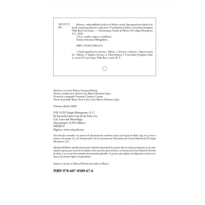 Jóvenes y vulnerabilidad social en el México actual. Aproximaciones desde lo laboral, sexual-reproductivo y educativo