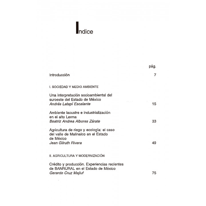 Estado de México. Perspectivas para la década de los 90