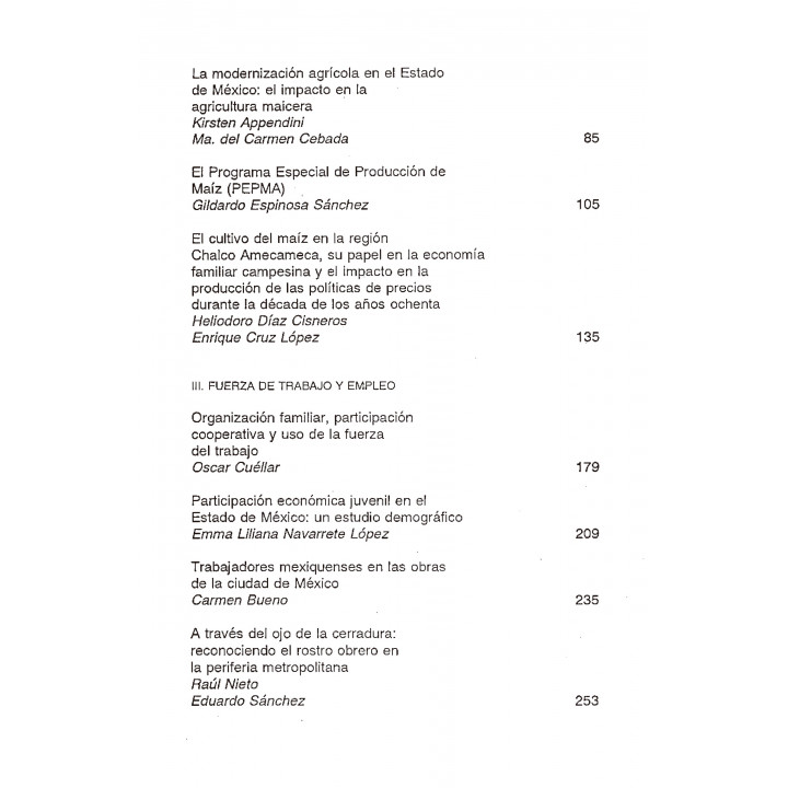 Estado de México. Perspectivas para la década de los 90