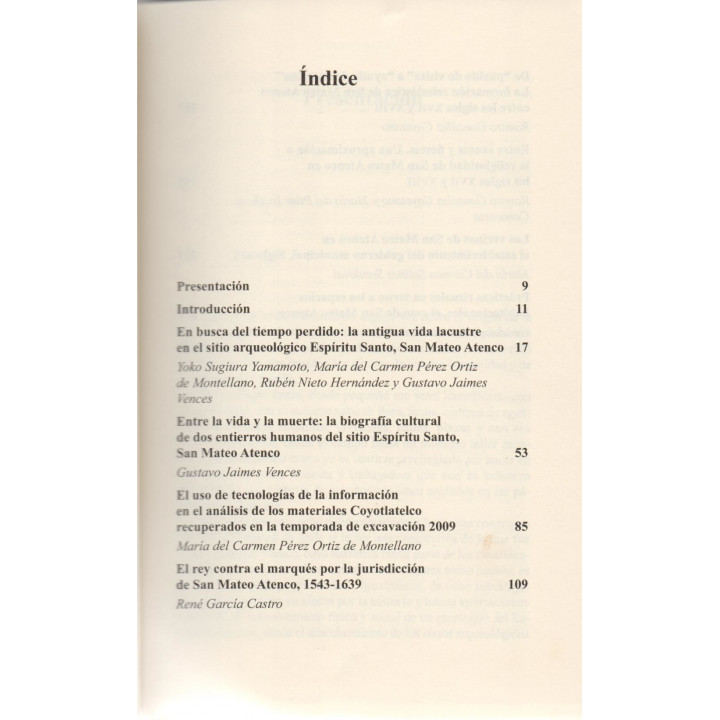 San Mateo Atenco (veintisiete. Cuadernos municipales)