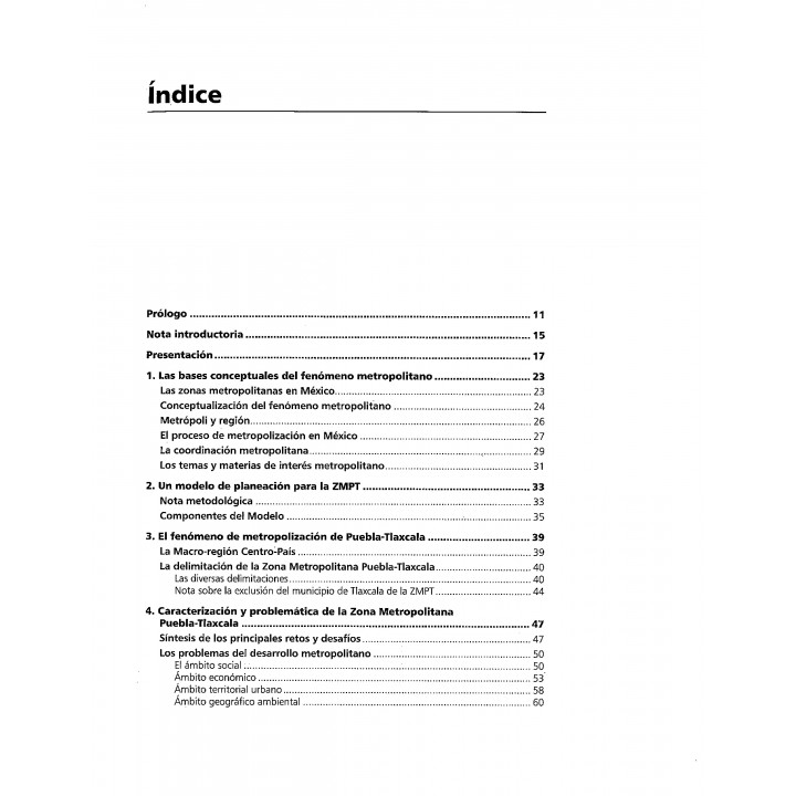 Metrópolis en crisis. Una propuesta para la zona metropolitana Puebla – Tlaxcala