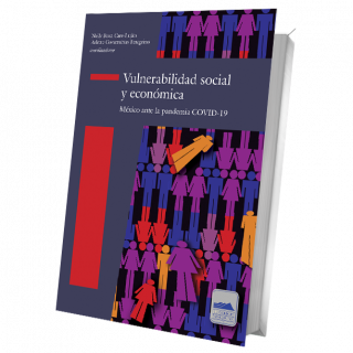 Vulnerabilidad social y económica. México ante la pandemia COVID-19