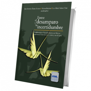 Entre el desamparo y la incertidumbre. Desplazamiento Forzado Interno en México