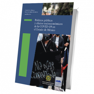 Políticas públicas y efectos socioeconómicos de la COVID-19 en el Estado de México