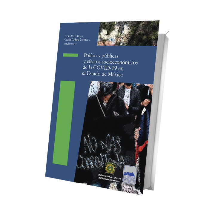Políticas públicas y efectos socioeconómicos de la COVID-19 en el Estado de México