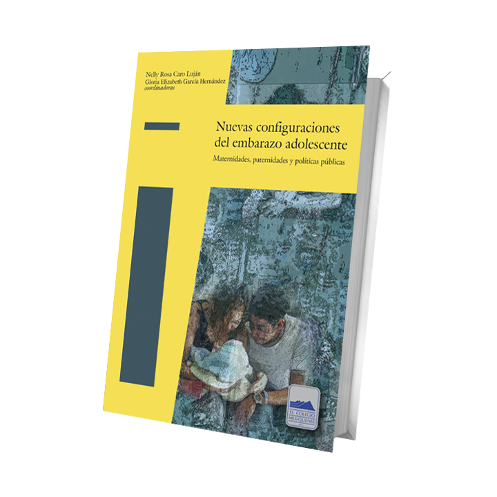 Nuevas configuraciones del embarazo adolescente. Maternidades, paternidades y políticas públicas