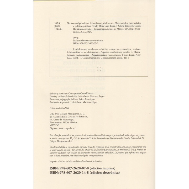 Nuevas configuraciones del embarazo adolescente. Maternidades, paternidades y políticas públicas