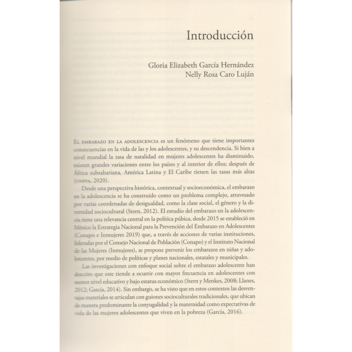 Nuevas configuraciones del embarazo adolescente. Maternidades, paternidades y políticas públicas
