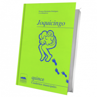 Joquicingo
