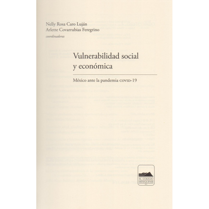 Vulnerabilidad social y económica. México ante la pandemia COVID-19