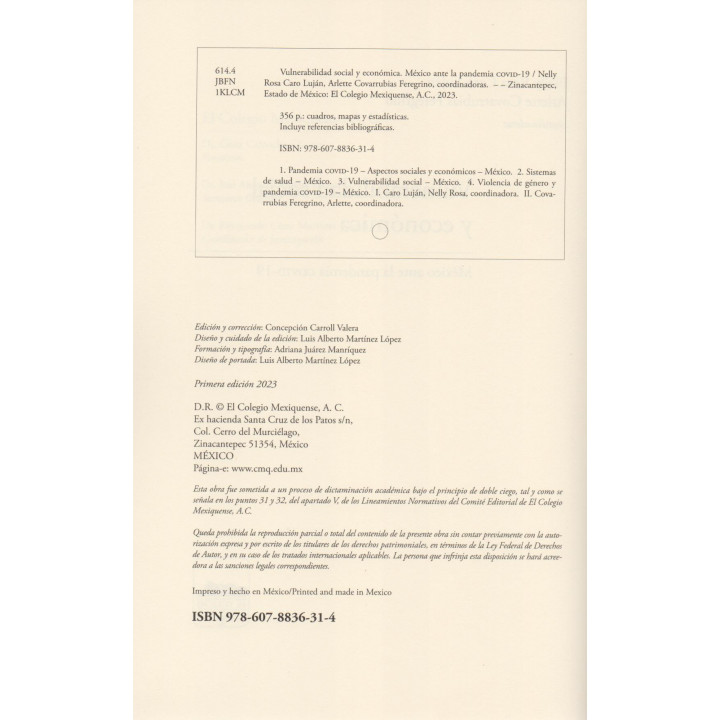 Vulnerabilidad social y económica. México ante la pandemia COVID-19