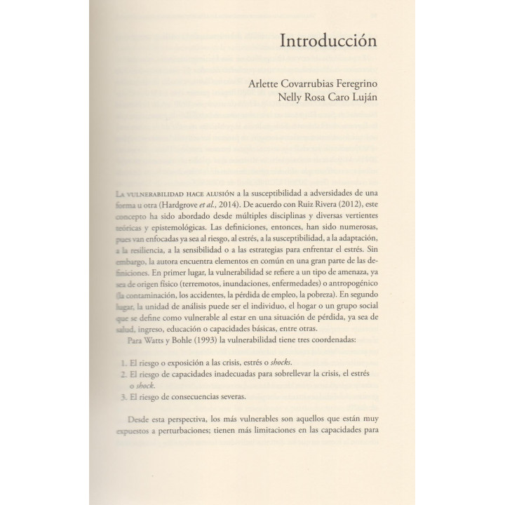 Vulnerabilidad social y económica. México ante la pandemia COVID-19