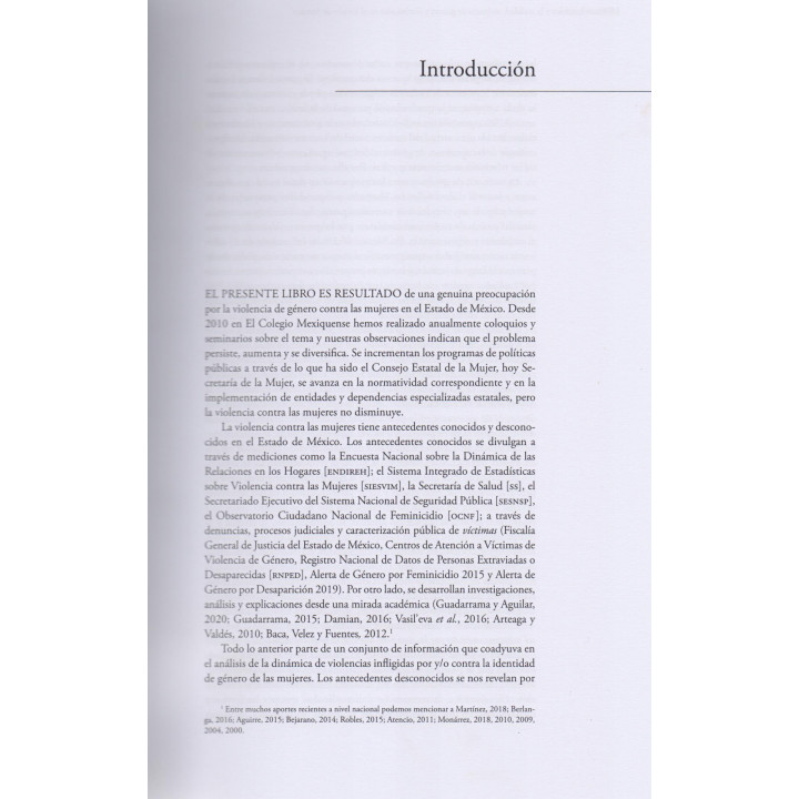 Entre la norma y la realidad: violencia de género y feminicidio en el Estado de México