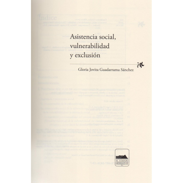 Asistencia social, vulnerabilidad y exclusión