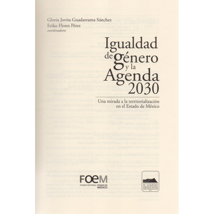 Igualdad de género y la Agenda 2030. Una mirada a la territorialización en el Estado de México