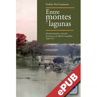 Entre montes y lagunas. Desamortización y mercado de tierras