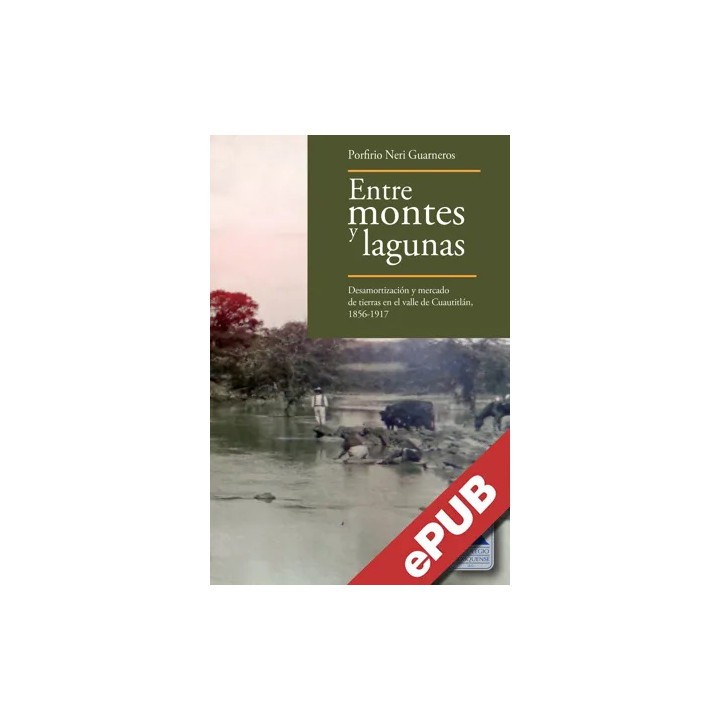 Entre montes y lagunas. Desamortización y mercado de tierras