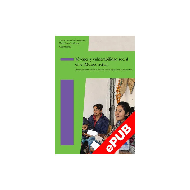 óvenes y vulnerabilidad social en el México actual. Aproximaciones