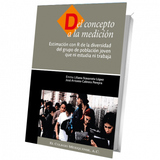 Del concepto a la medición. Estimación con R de la diversidad del grupo de población joven que ni estudia ni trabaja