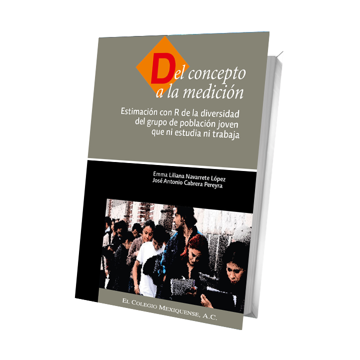 Del concepto a la medición. Estimación con R de la diversidad del grupo de población joven que ni estudia ni trabaja