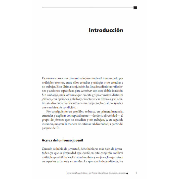 Del concepto a la medición. Estimación con R de la diversidad del grupo de población joven que ni estudia ni trabaja