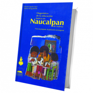 Diagnóstico de la educación básica en Naucalpan de Juárez. Hacia una propuesta de planeación microregional