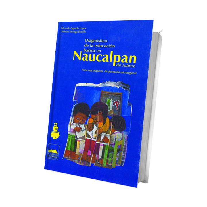Diagnóstico de la educación básica en Naucalpan de Juárez. Hacia una propuesta de planeación microregional
