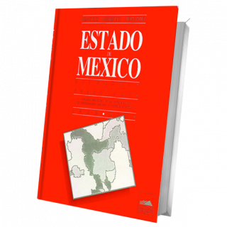 Estado de México: bienestar y territorio. Análisis espacial de la satisfacción de necesidades básicas y niveles de vida.