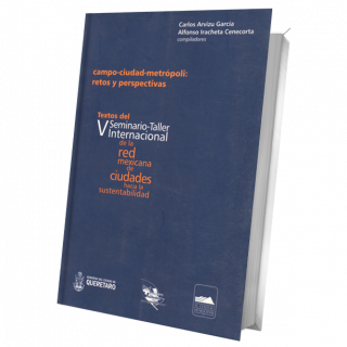 Campo-ciudad-metrópoli: retos y perspectivas. Textos del V Seminario-Taller Internacional de la Red mexicana de ciudades ...