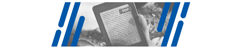 Libros en formato PDF